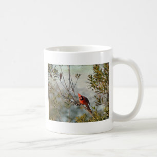 Nördlicher Kardinal in Wax Myrtle Kaffeetasse