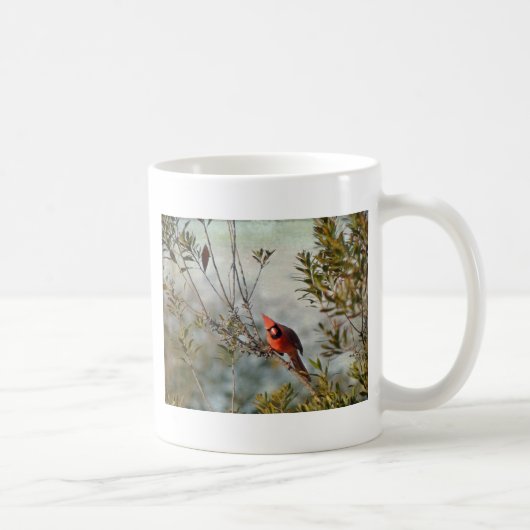 Nördlicher Kardinal in Wax Myrtle Kaffeetasse (Rechts)