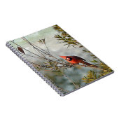 Nördlicher Kardinal in Wax Myrtle Notizblock (Rechte Seite)