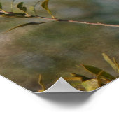 Nördlicher Kardinal in Wax Myrtle Poster (Ecke)