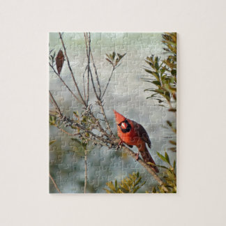 Nördlicher Kardinal in Wax Myrtle Puzzle