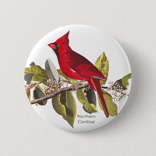Nördlicher Kardinal, John James Audubon, Red Bird, Button (Vorderseite)