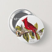Nördlicher Kardinal, John James Audubon, Red Bird, Button (Vorne & Hinten)