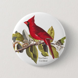 Nördlicher Kardinal, John James Audubon, Red Bird, Button