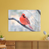 Nördlicher Kardinal (Kardinal Creek) Leinwanddruck (Insitu (Wohnzimmer))