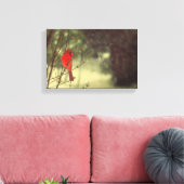 Nördlicher Kardinal Leinwanddruck (Insitu (Wohnzimmer))