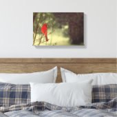 Nördlicher Kardinal Leinwanddruck (Insitu (Schlafzimmer))