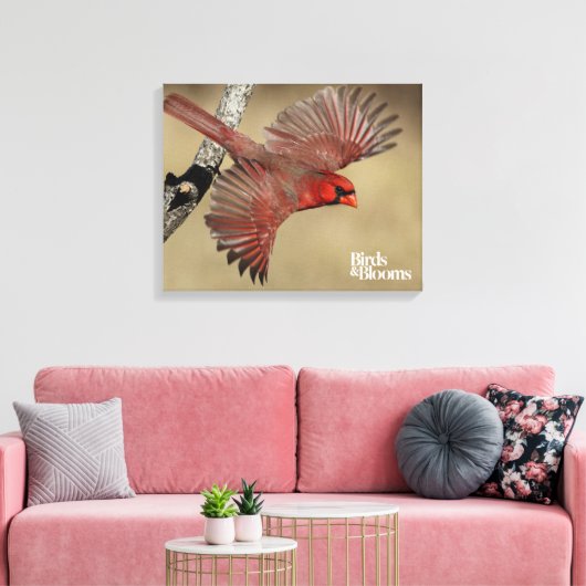 Nördlicher Kardinal Leinwanddruck (Insitu (Wohnzimmer))