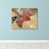 Nördlicher Kardinal Leinwanddruck (Insitu (Holzboden))