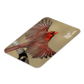 Nördlicher Kardinal Magnet (Linke Seite)