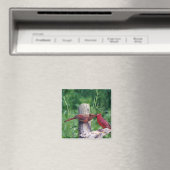 Nördlicher Kardinal Magnet (In Situ (Geschirrspüler))