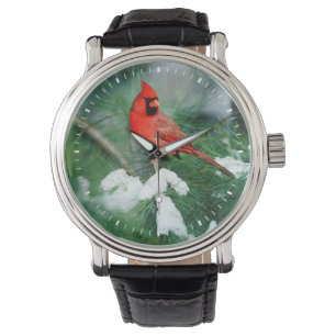 Nördlicher Kardinal Männchen auf Baum, IL Armbanduhr