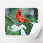 Nördlicher Kardinal Männchen auf Baum, IL Mousepad (Mit Mouse)