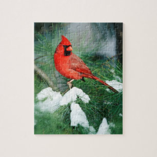 Nördlicher Kardinal Männchen auf Baum, IL Puzzle