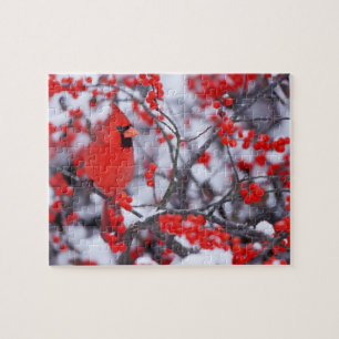 Nördlicher Kardinal Männchen, Winter, IL Puzzle