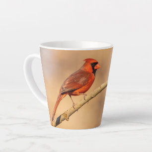 Nördlicher Kardinal Milchtasse