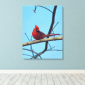 Nördlicher Kardinal mit Summer Sky Leinwanddruck (Insitu (Holzboden))