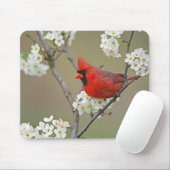 Nördlicher Kardinal Mousepad (Mit Mouse)