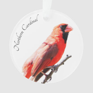 Nördlicher Kardinal Ornament