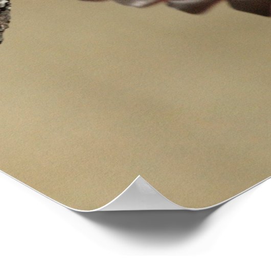 Nördlicher Kardinal Poster (Ecke)