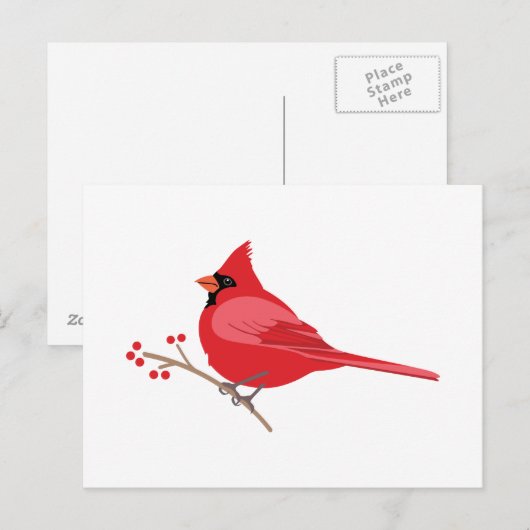 Nördlicher Kardinal Postkarte (Vorne/Hinten)