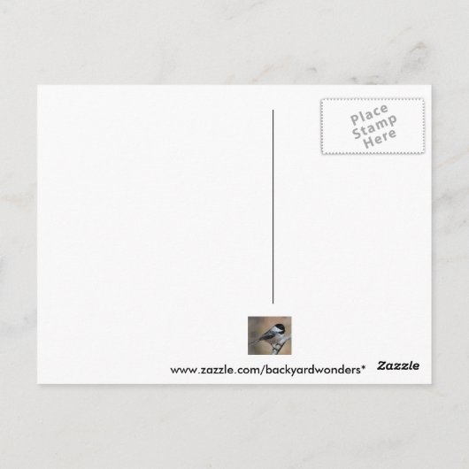 Nördlicher Kardinal Postkarte (Rückseite)