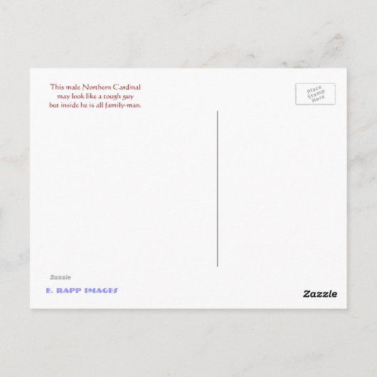 Nördlicher Kardinal Postkarte (Rückseite)