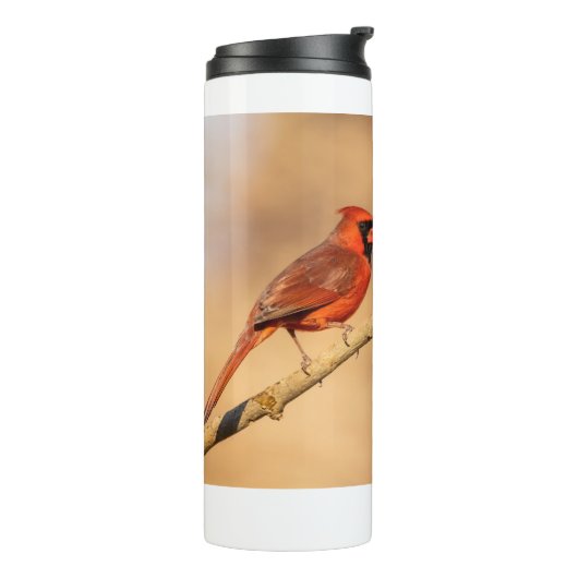 Nördlicher Kardinal Thermosbecher (Nach links gedreht)