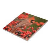 Nördlicher Kardinal über Winterberge Fliese (Seite)