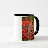 Nördlicher Kardinal über Winterberge Tasse (VorderseiteRechts)