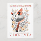 Nördlicher Kardinal Vogel von Virginia Postkarte (Vorderseite)