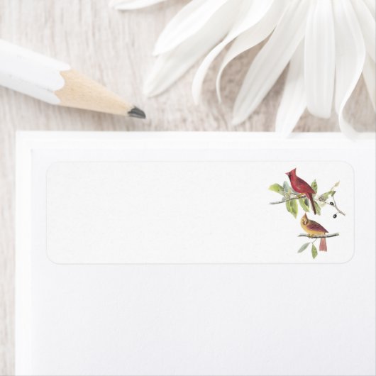 Nördlicher Kardinal von Audubon (Insitu)