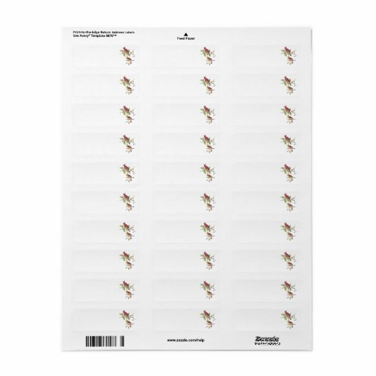 Nördlicher Kardinal von Audubon (Vorne)