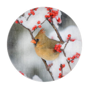 Nördlicher Kardinal weiblich auf Gewöhnlicher Wint Schneidebrett