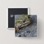 Nördlicher Leopardfrosch, See-through Island, Button (Vorne & Hinten)