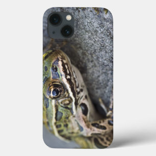 Nördlicher Leopardfrosch, See-through Island, Case-Mate iPhone Hülle
