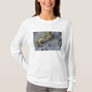 Nördlicher Leopardfrosch, See-through Island, T-Shirt