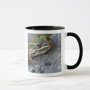 Nördlicher Leopardfrosch, See-through Island, Tasse
