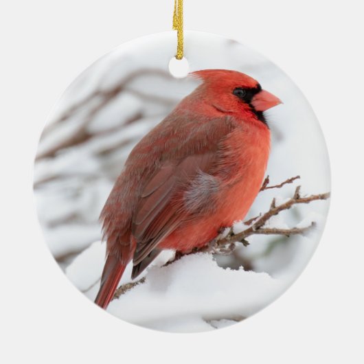 Nördlicher (männlicher) Kardinal | KERAMIK Ornament (Hinten)