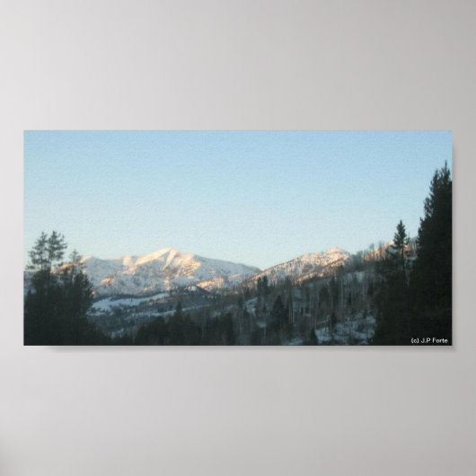 Nördlicher Rocky-Mountain-Wald Poster (Vorne)