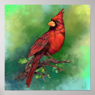 Nördlicher Roter Kardinalvogel Poster Malerei