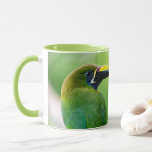 Nördlicher Smaragd-Tukan in Costa Rica Tasse