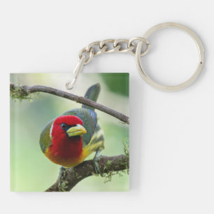 Nördlicher Smaragd-Tukan & Rotkopf-Bartvogel Schlüsselanhänger