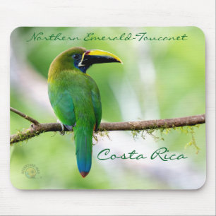Nördlicher Smaragdtukan in Costa Rica Mousepad