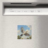 Nördlicher Spottdrossel im Flug Magnet (In Situ (Geschirrspüler))
