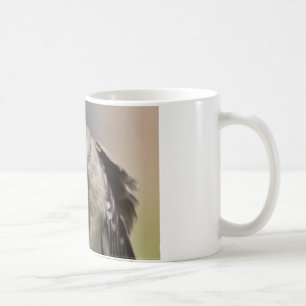 Nördlicher Spottdrossel macht einen Knicks Bekleid Kaffeetasse