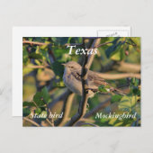 Nördlicher Spottdrossel Postkarte (Vorne/Hinten)