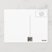 Nördlicher Spottdrossel Postkarte (Rückseite)