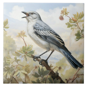 Nördlicher Spottdrossel, Singvogel Fliese