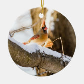 Nördlicher (weiblicher) Kardinal | KERAMIK Ornament (Vorne)